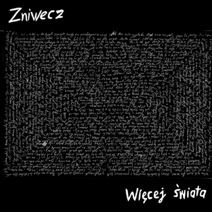 Brzegi