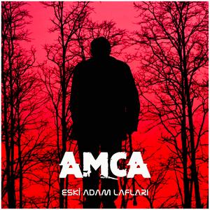 Amca