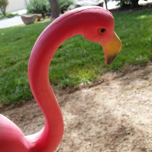 Lovicide (open your eyes)