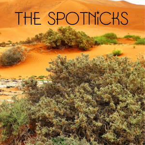 The Spotnicks