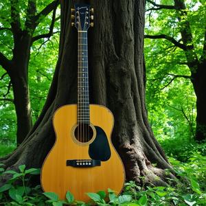 Bossa of My Heart