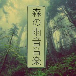 森と霧雨