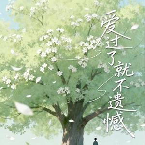 爱过了就不遗憾 (节奏版)(大头针 Offoioil Remix)