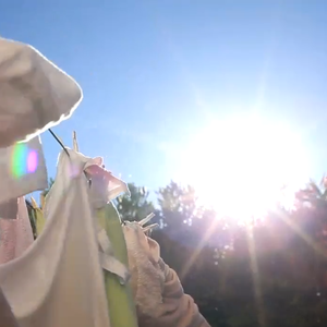 我是一条在晒太阳的被子