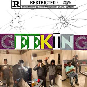 GeekinG