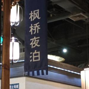 遇见你的时候所有星星都落到我头上