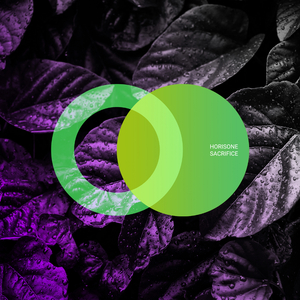 Sacrifice (Original Mix)