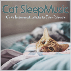 Cat Relaxation Music