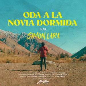 Oda a la novia dormida