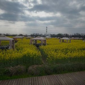 我到底算什么（无有）