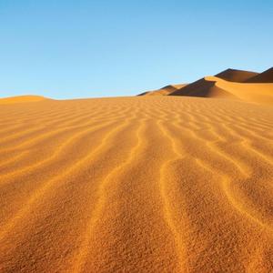 Musango Official audio (Kwarwariwa riddim)