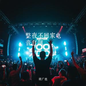 整夜不回家电音狂飙