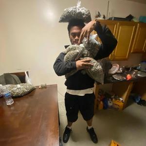 TURNED A L 2 A DREAM