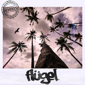 Flügel (Larvik Remix)
