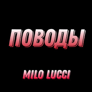 Поводы