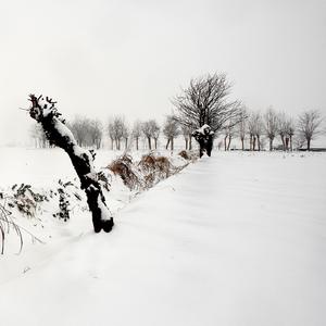 刘心 - 那年春天下着雪 (Cover)3