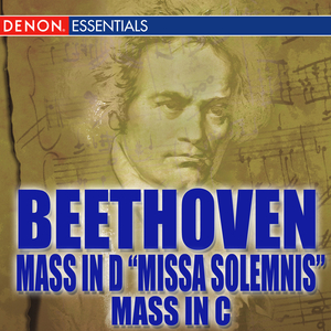 Mass in D Major, Op. 123 "Missa Solemnis": V. Agnus Dei