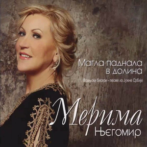 Magla padnala v dolina