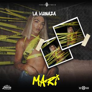 Mari (feat. Fenix studio)