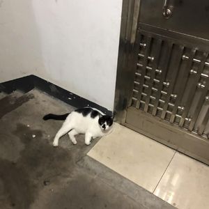 60%（Prod by NeonMusic）