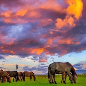 可不可以-王甘霖