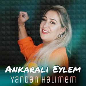 Yandan Halimem