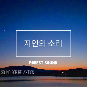 잠 못드는 밤에 ( 숙면을 위한 힐링 새소리 )