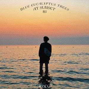 夕阳下的蓝桉树