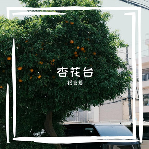 纯音乐8