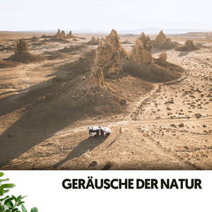 Einsam in der Wüste