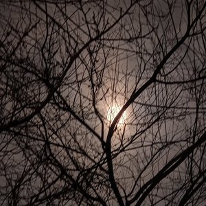 今年又是什么天气#百万奖金AI创作大赛+主题一