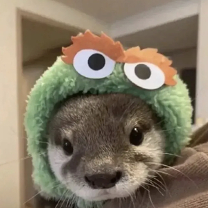 泡沫说唱男孩版