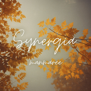 Ecos de Synergia