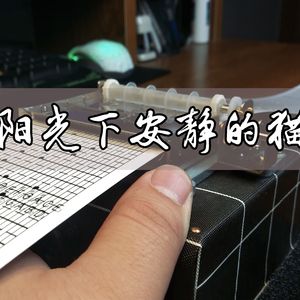 阳光下安静的猫 【八音盒】