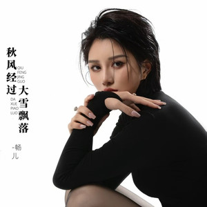 秋风经过大雪飘落 (DJ版)