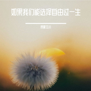 如果我们能选择自由过一生