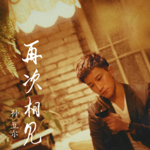 再次相见 (伴奏)