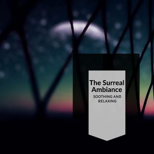 Darkness Of The Beach