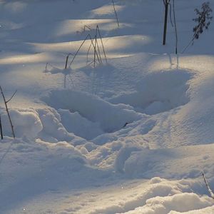 [FREE]"Oipdoe"Gunna Type Beat