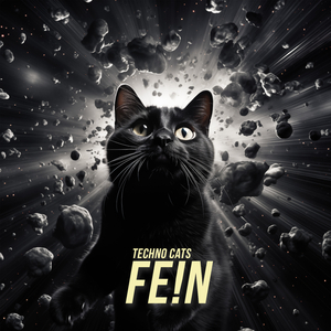 FE!N (Extended Techno Mix)