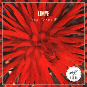 Saturday Mood (Original Mix)