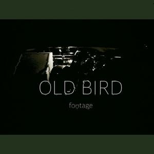 Old Bird