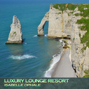 Supernova in the Sky