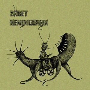 Sabet Nemimoonam