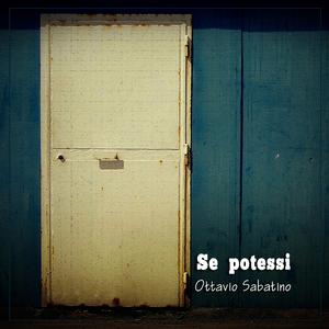Se potessi