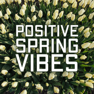 Positive Vibes
