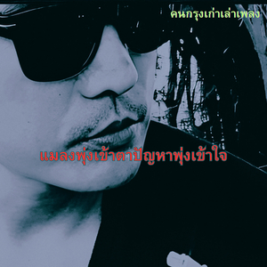 แมลงพุ่งเข้าตาปัญหาพุ่งเข้าใจ