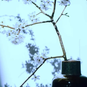 叫べよバカ！！！