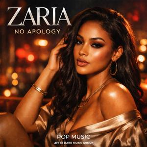 No Explanation (Pop Music)