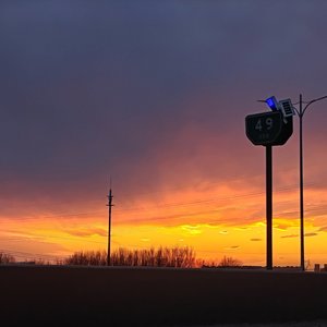 我的小狗叫Super